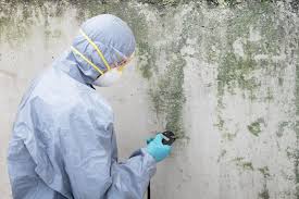 Reliable Greenfield, OH Mold Inspection Solutions